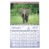 Babes gehen ins Jahr der wilden Tiere Kalender (Jan 2027)