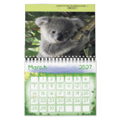 Babes gehen ins Jahr der wilden Tiere Kalender (Mär 2027)