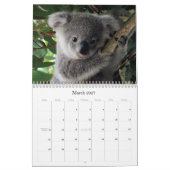 Babes Gone Wild Animals 2009 - 2010 Kalender (Mär 2027)