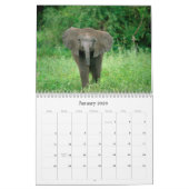 Babes Gone Wild Animals 2009 - 2010 Kalender (Jan 2026)