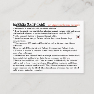 Babesia Fact Card Visitenkarte