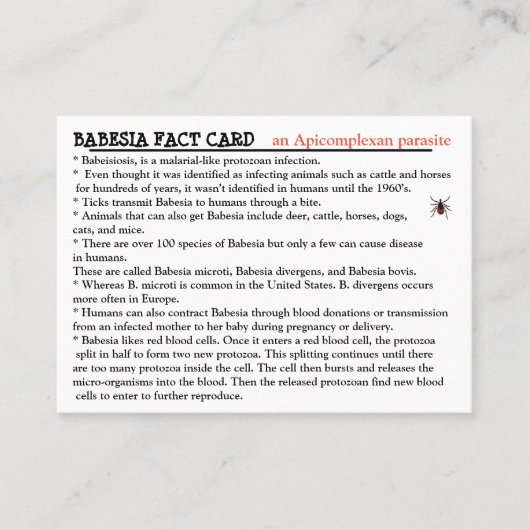 Babesia Fact Card Visitenkarte (Vorderseite)