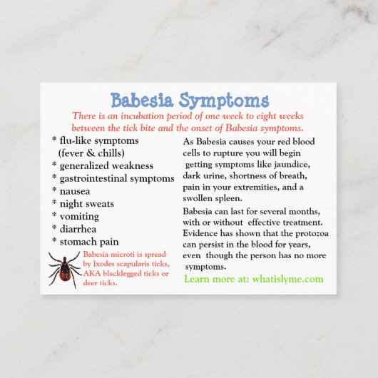 Babesia Fact Card Visitenkarte (Rückseite)