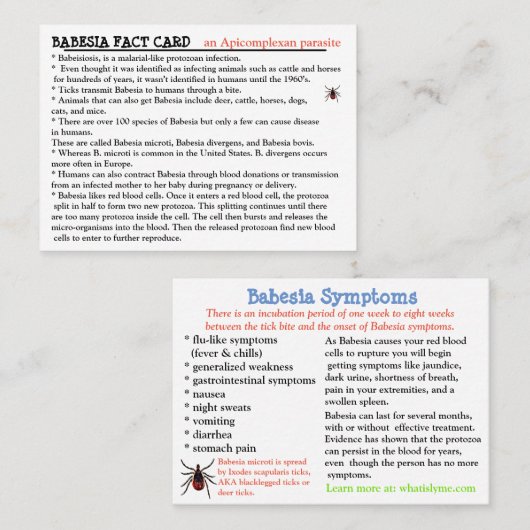 Babesia Fact Card Visitenkarte (Vorne/Hinten)