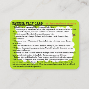 Babesia Fact Educational Card Visitenkarte