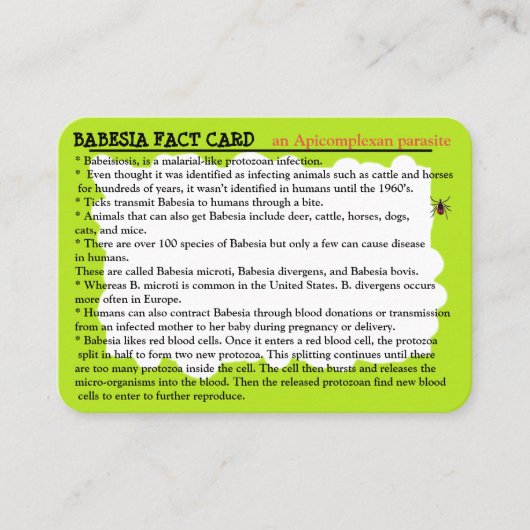 Babesia Fact Educational Card Visitenkarte (Vorderseite)