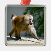 Baboon auf dem Boden Ornament Aus Metall (Vorne)