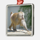 Baboon auf dem Boden Ornament Aus Metall (Links)
