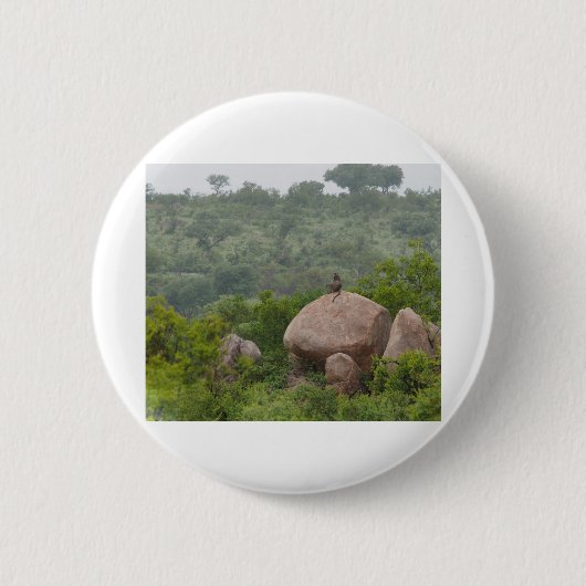 Baboon auf einem Felsen Button (Vorderseite)