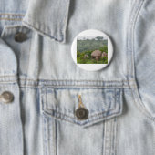 Baboon auf einem Felsen Button (Beispiel)