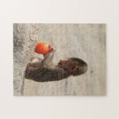 Baboon Baby Puzzle (Horizontal)