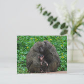 Baboon Family Postkarte (Stehend Vorderseite)