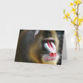 Baboon Grußkarte Karte (Gelbe Blume)