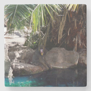 Baboon im Paradies, Stone Untersetzer