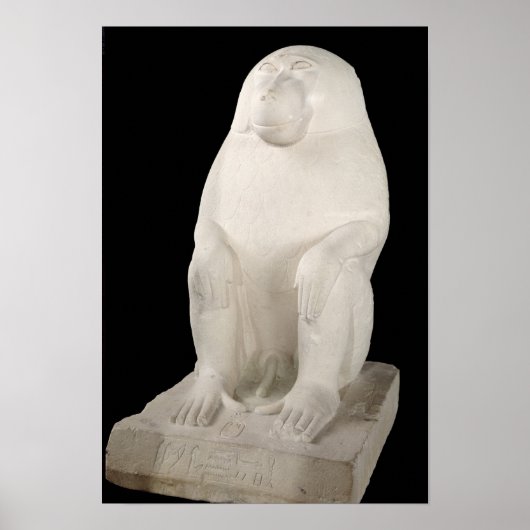 Baboon, Mittleres Königreich, möglicherweise 7. Dy Poster (Vorne)