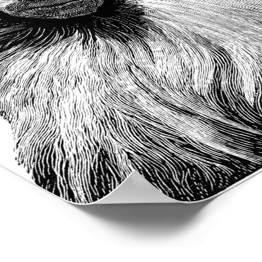 Baboon Monkey Jungle Safari Poster (Ecke)