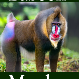 Baboon Monkey Puzzle