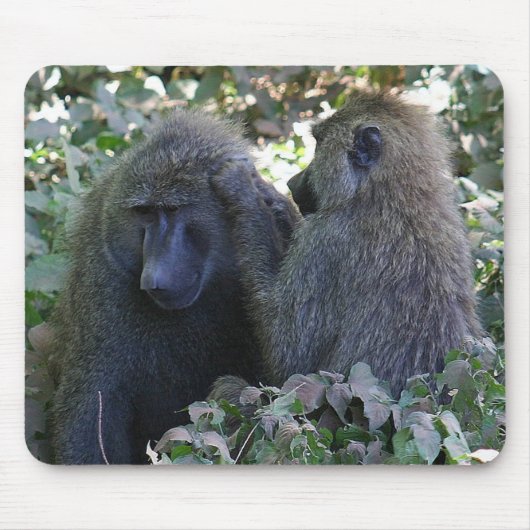 Baboon Mousepad (Vorne)