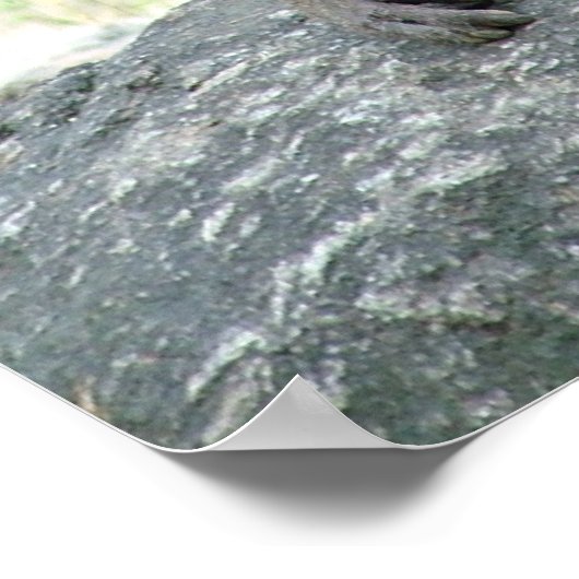 Baboon Poster (Ecke)