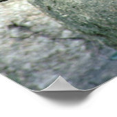 Baboon Poster (Ecke)