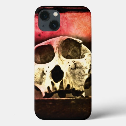 Baboon Skull Sunset iPad Air Case (Rückseite)