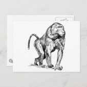 Baboons Postkarte (Vorne/Hinten)