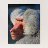 Baboons. Puzzle (Vertikal)