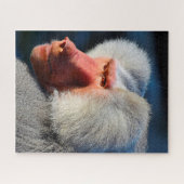 Baboons. Puzzle (Horizontal)