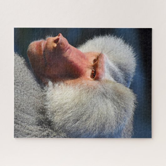 Baboons. Puzzle (Horizontal)