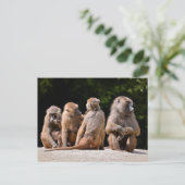 Baboons und junge feiertagspostkarte (Stehend Vorderseite)