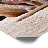 Baboons und Jungferien Poster (Ecke)