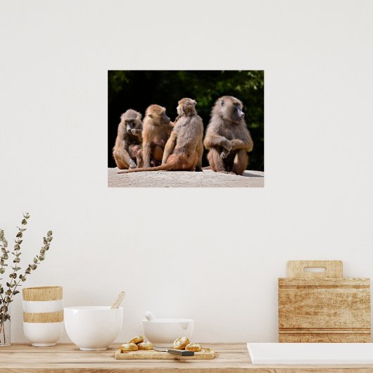 Baboons und Jungferien Poster (Küche)