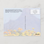 Baboquivari Peak Wilderness, Arizona Postkarte (Rückseite)