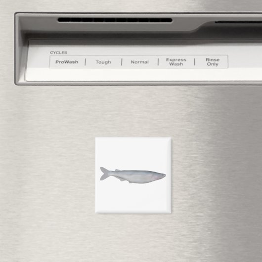 Baboso Magnet (In Situ (Geschirrspüler))