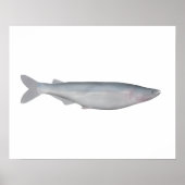 Baboso Poster (Vorne)