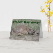 Baby A6 Pronghorn Antilope Karte (Gelbe Blume)