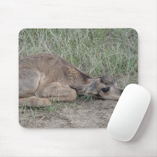 Baby A6 Pronghorn Antilope Mousepad (Mit Mouse)