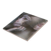 Baby-Affe Fliese (Seite)