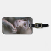 Baby-Affe Gepäckanhänger (Vorderseite horizontal)