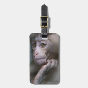 Baby-Affe Gepäckanhänger