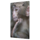 Baby-Affe Klemmbrett (Links)