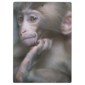 Baby-Affe Klemmbrett (Rückseite)