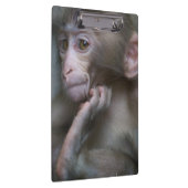 Baby-Affe Klemmbrett (Rechts)