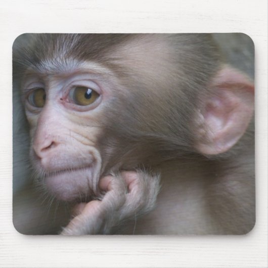 Baby-Affe Mousepad (Vorne)