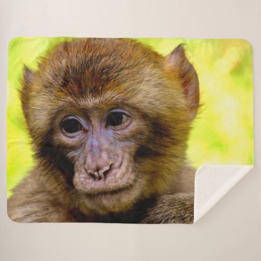 BABY-AFFE SHERPADECKE (Vorderseite (Horizontal))