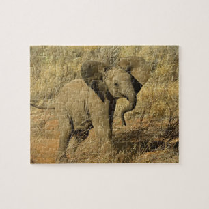 Baby African Elephant, Loxodonta Africana, Puzzle