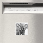 Baby African Elephant Magnet (In Situ (Geschirrspüler))