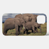 Baby African Elephant mit Familie Case-Mate iPhone Hülle (Rückseite (Horizontal))