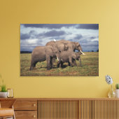 Baby African Elephant mit Familie Leinwanddruck (Insitu (Wohnzimmer))