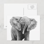 Baby African Elephant Postcard Postkarte (Vorne/Hinten)